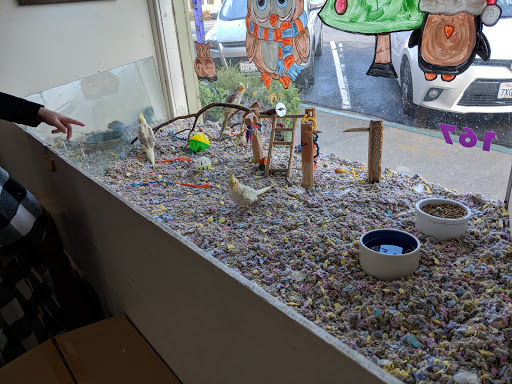 Pets 4 All, 167 Main St, Rio Vista, CA 94571, USA, 