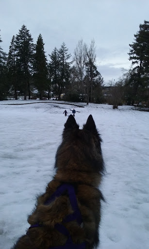 Park «Washburne Park», reviews and photos, E 21st Ave & Agate Street, Eugene, OR 97403, USA