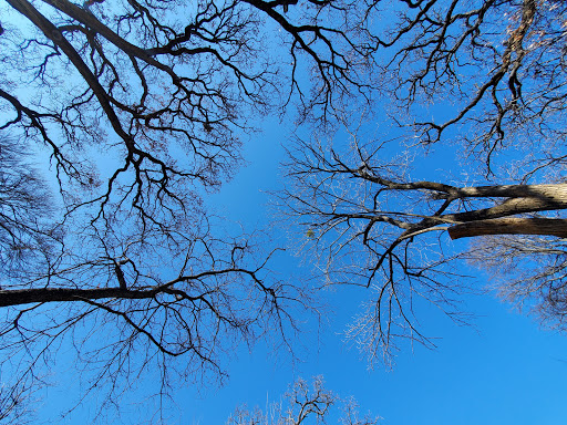 Botanical Garden «Botanical Gardens-Heritage Pk», reviews and photos, 411 Ball St, Grapevine, TX 76051, USA