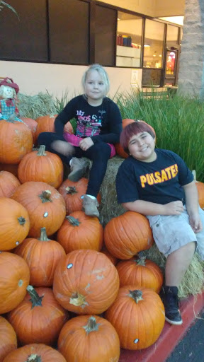 Grocery Store «Safeway», reviews and photos, 1115 Vine St, Healdsburg, CA 95448, USA