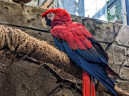 Aquarium «Loveland Living Planet Aquarium», reviews and photos, 12033 Lone Peak Pkwy, Draper, UT 84020, USA