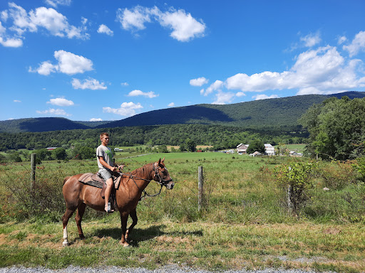 Horseback Riding Service «Secret Passage Ranch», reviews and photos, 321 Spring Mountain Way, Fort Valley, VA 22652, USA