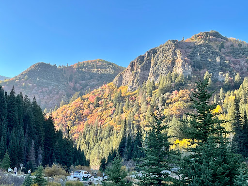 Insurance Agency «Juan Amoros - State Farm Insurance Agent», reviews and photos