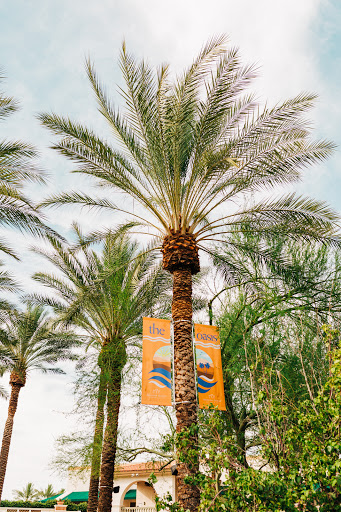 Water Park «Oasis Water Park», reviews and photos, 8000 S Arizona Grand Pkwy, Phoenix, AZ 85044, USA