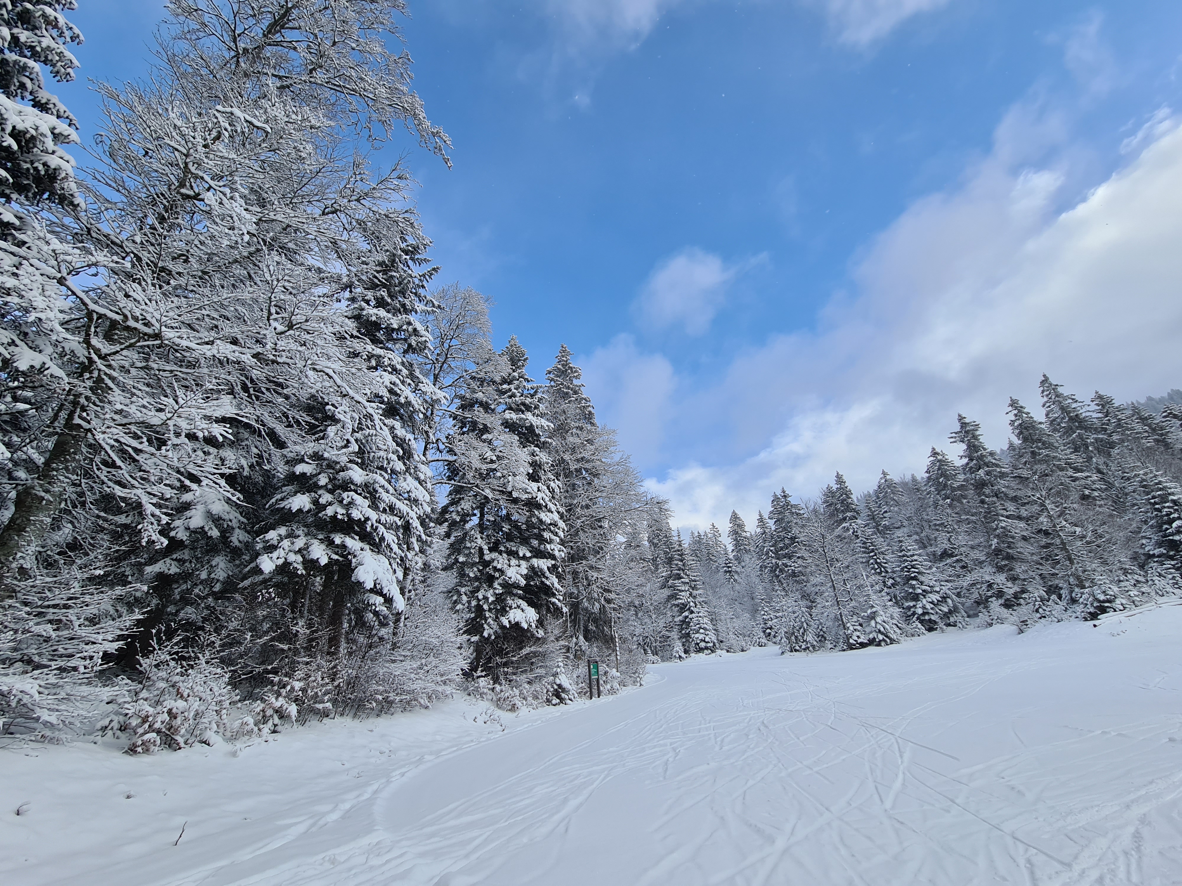 Photo n° 5 de l'avis de Guillaume. fait le 25/12/2020 à 14:59