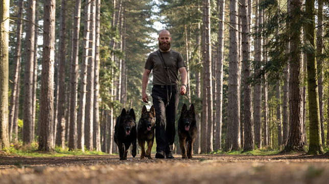K9 Harkin