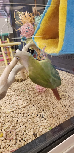 Pet Supply Store «PetSmart», reviews and photos, 8281 Troy Pike, Huber Heights, OH 45424, USA