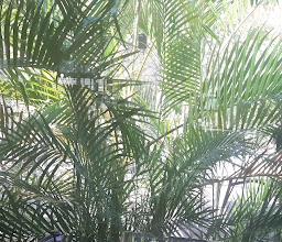 Mi Viejo Molino photo