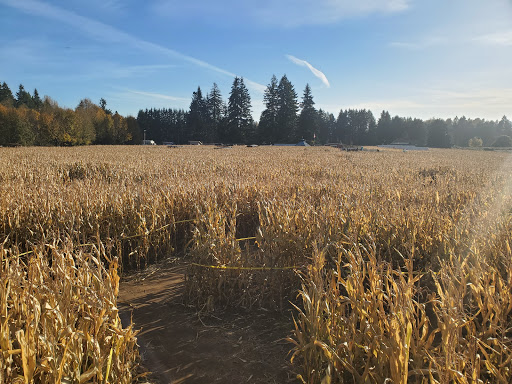 Pumpkin Patch «Rutledge Corn Maze LLC», reviews and photos, 302 93rd Ave SE, Olympia, WA 98501, USA