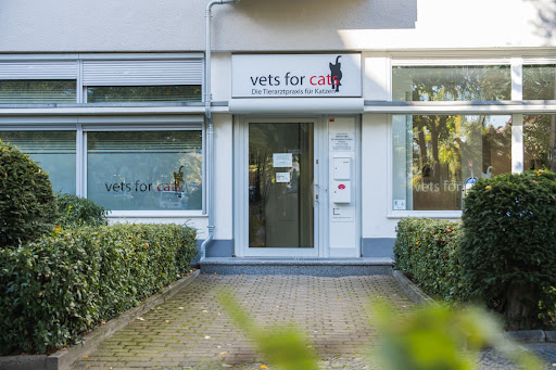 Veterinary clinic for cats - vets for cats Berlin unter Berlin, 
