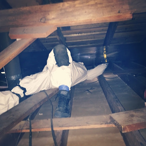 Pest Control Service «Attic Guys - Los Angeles - The Insulation Experts», reviews and photos