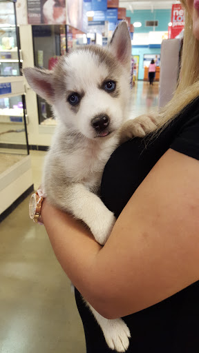 Pet Supply Store «PetSmart», reviews and photos, 2525 W Wheatland Rd, Dallas, TX 75237, USA