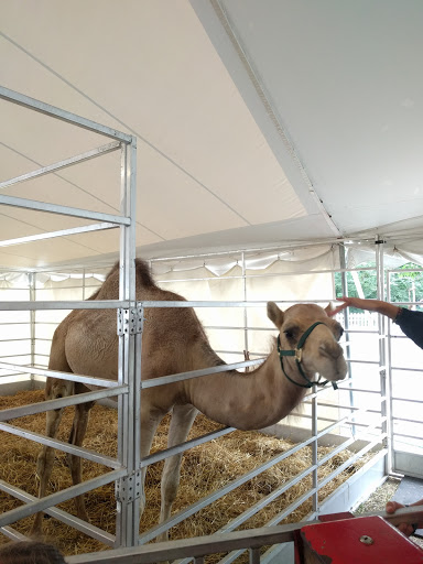 Event Venue «Event Center», reviews and photos, 1202 E 38th St, Indianapolis, IN 46205, USA