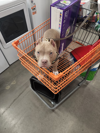 Home Improvement Store «The Home Depot», reviews and photos, 4750 S Decatur Blvd, Las Vegas, NV 89103, USA