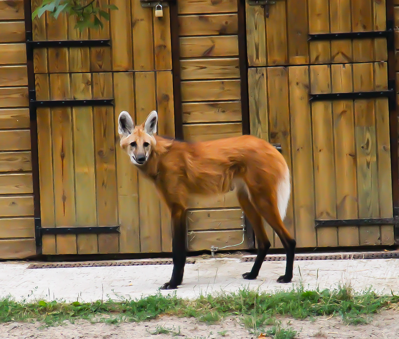 Photo n° 2 de l'avis de Cynthia.l fait le 21/07/2022 à 17:10