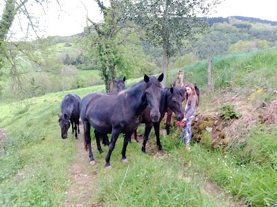 La ferme du cheval noir à Machézal