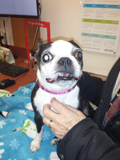 Pet Supply Store «PetSmart», reviews and photos, 170 Marketplace Blvd, Hamilton Township, NJ 08691, USA