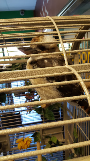 Pet Store «Zoo Creatures Pet Store», reviews and photos, 149 Plaistow Rd, Plaistow, NH 03865, USA