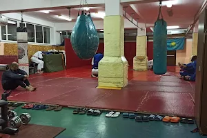 Джиу-джитсу Profi Fight image