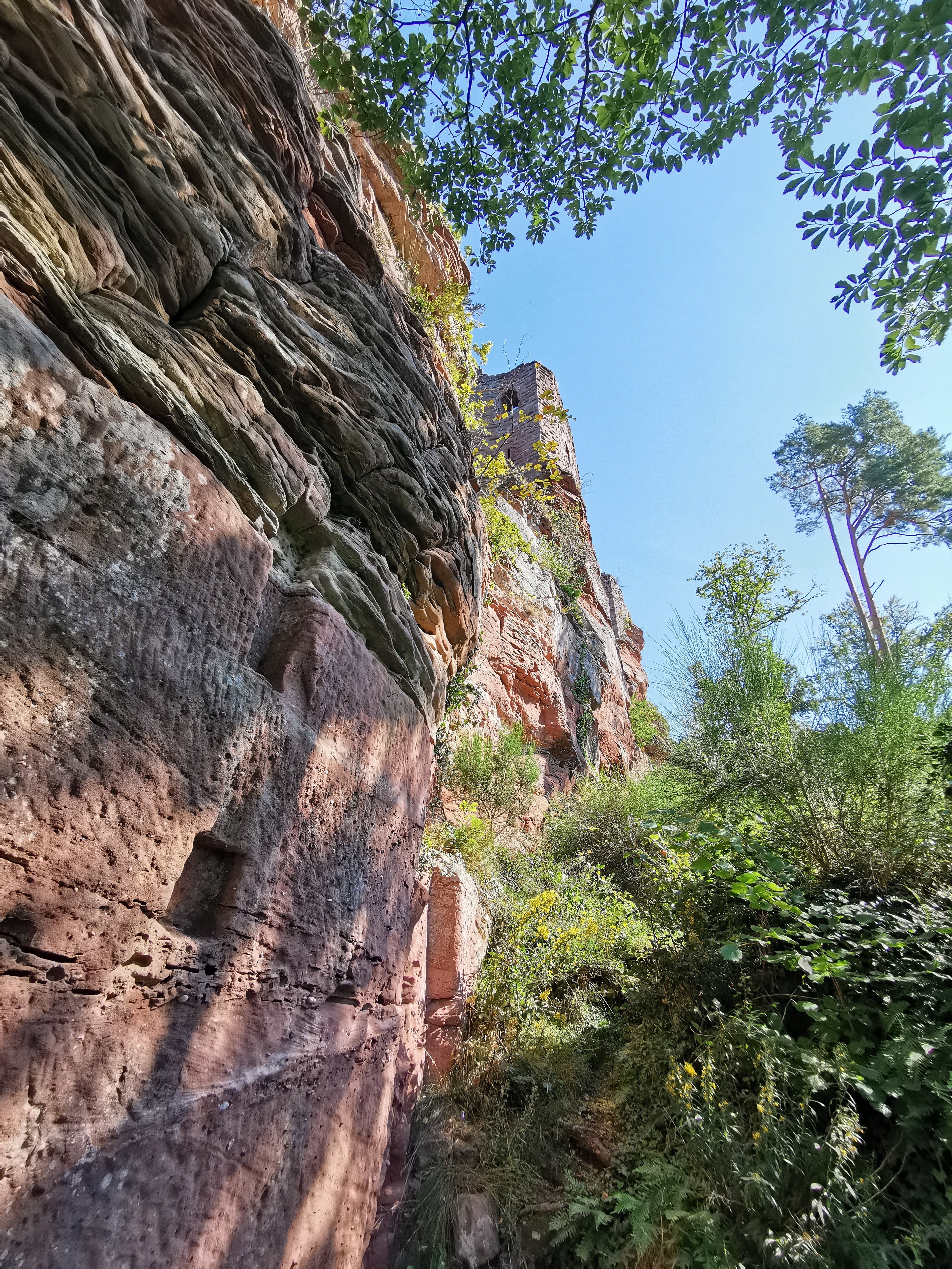 Photo n° 20 de l'avis de Uwe.c fait le 18/09/2021 à 19:30
