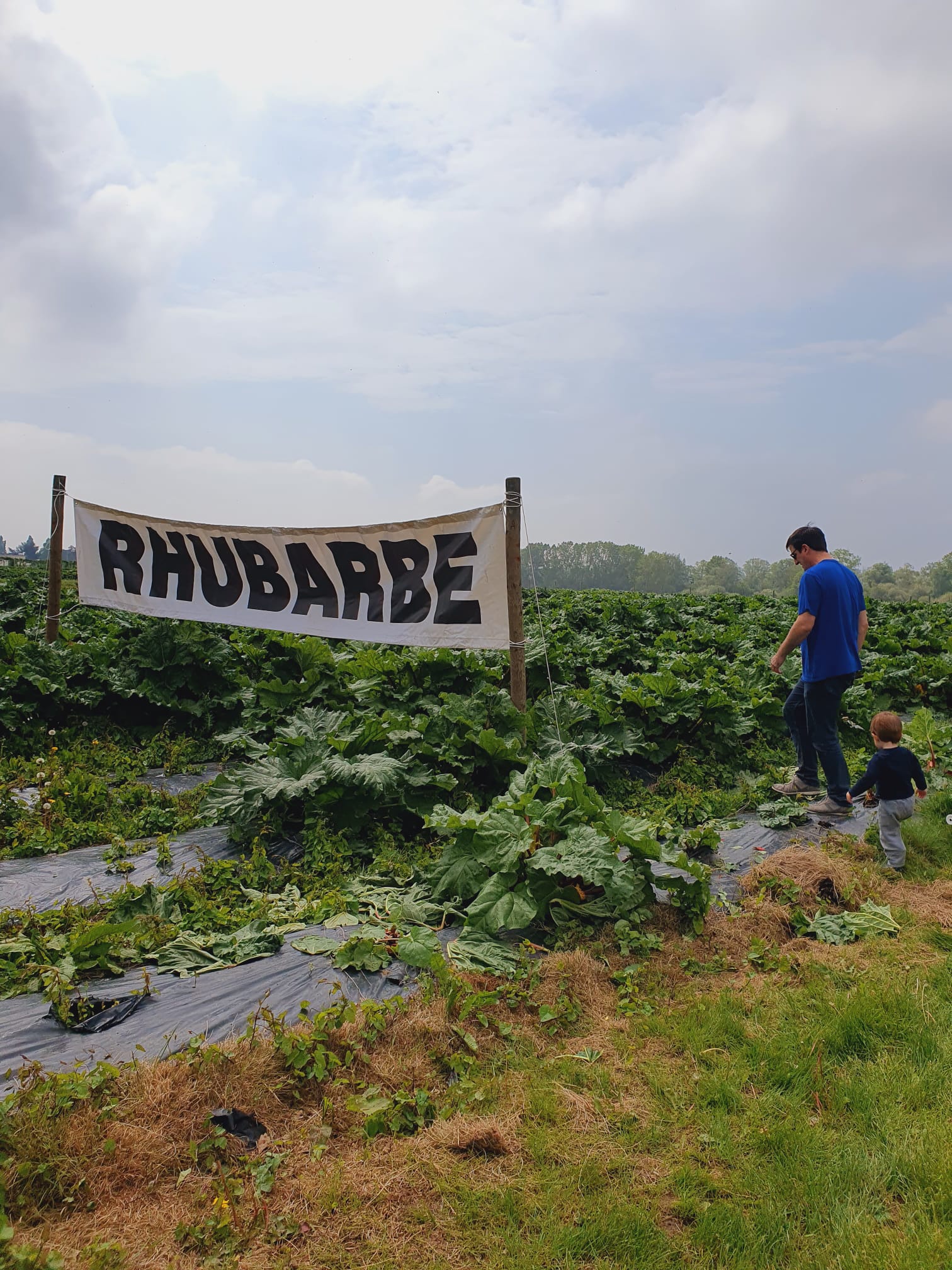 Photo n° 6 de l'avis de Arnaud.o fait le 15/05/2023 à 05:57
