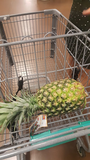 Health Food Store «Sprouts Farmers Market», reviews and photos, 7477 N Blackstone Ave, Fresno, CA 93720, USA