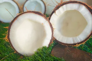 ADSK Coconuts,Mandi ,Fresh Ready to cook chappati poori ,No preservatives,Marriage Coconuts Shop image