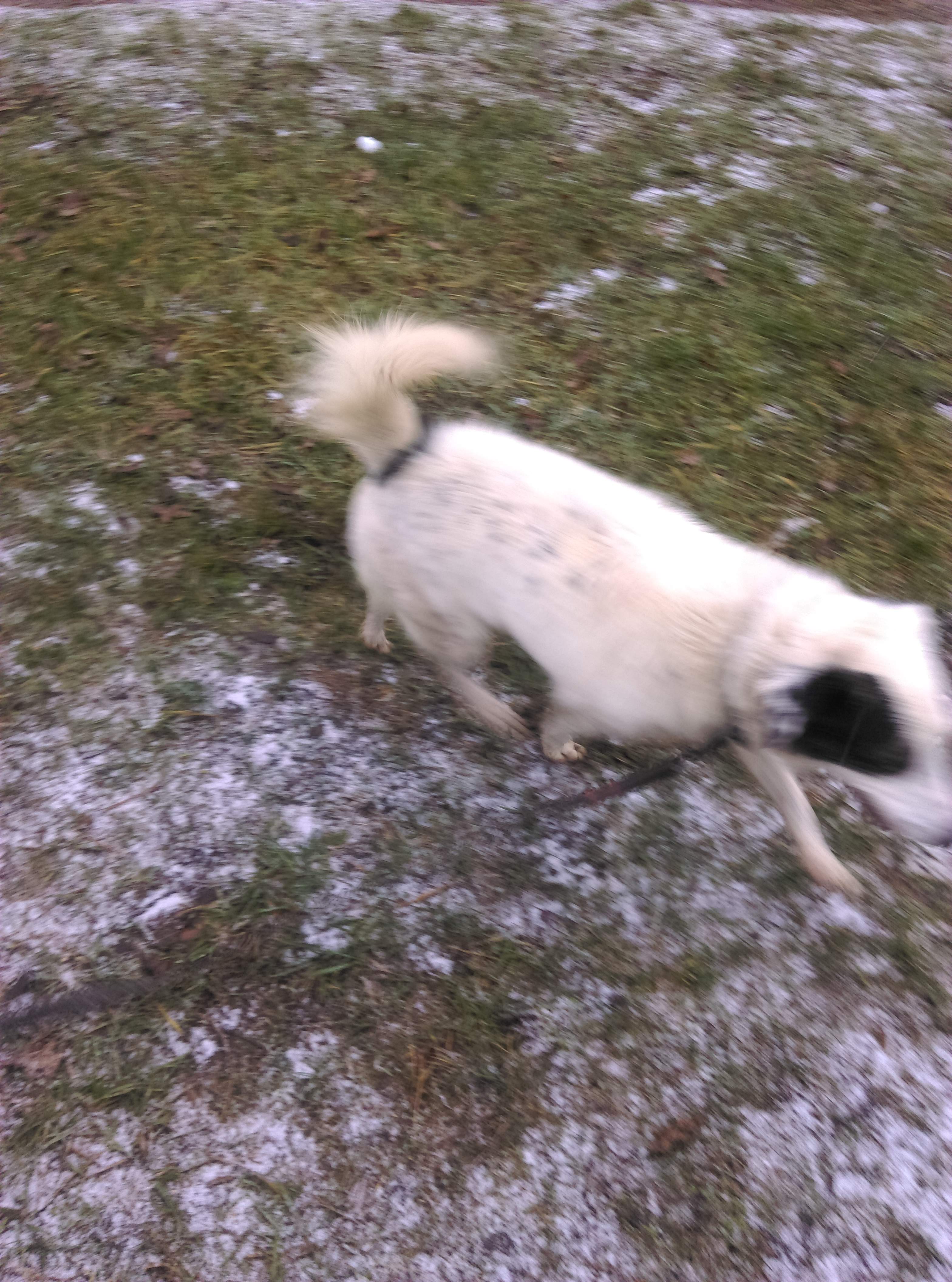 Photo n° 1 de l'avis de Beatrice.e fait le 13/02/2019 à 07:15