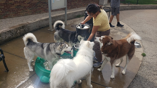 Dog Park «Portage Dog Friendly Area», reviews and photos, 4100 N Long Ave, Chicago, IL 60641, USA