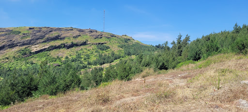 Top 20 cửa hàng akemi Huyện Lý Sơn Quảng Ngãi 2022