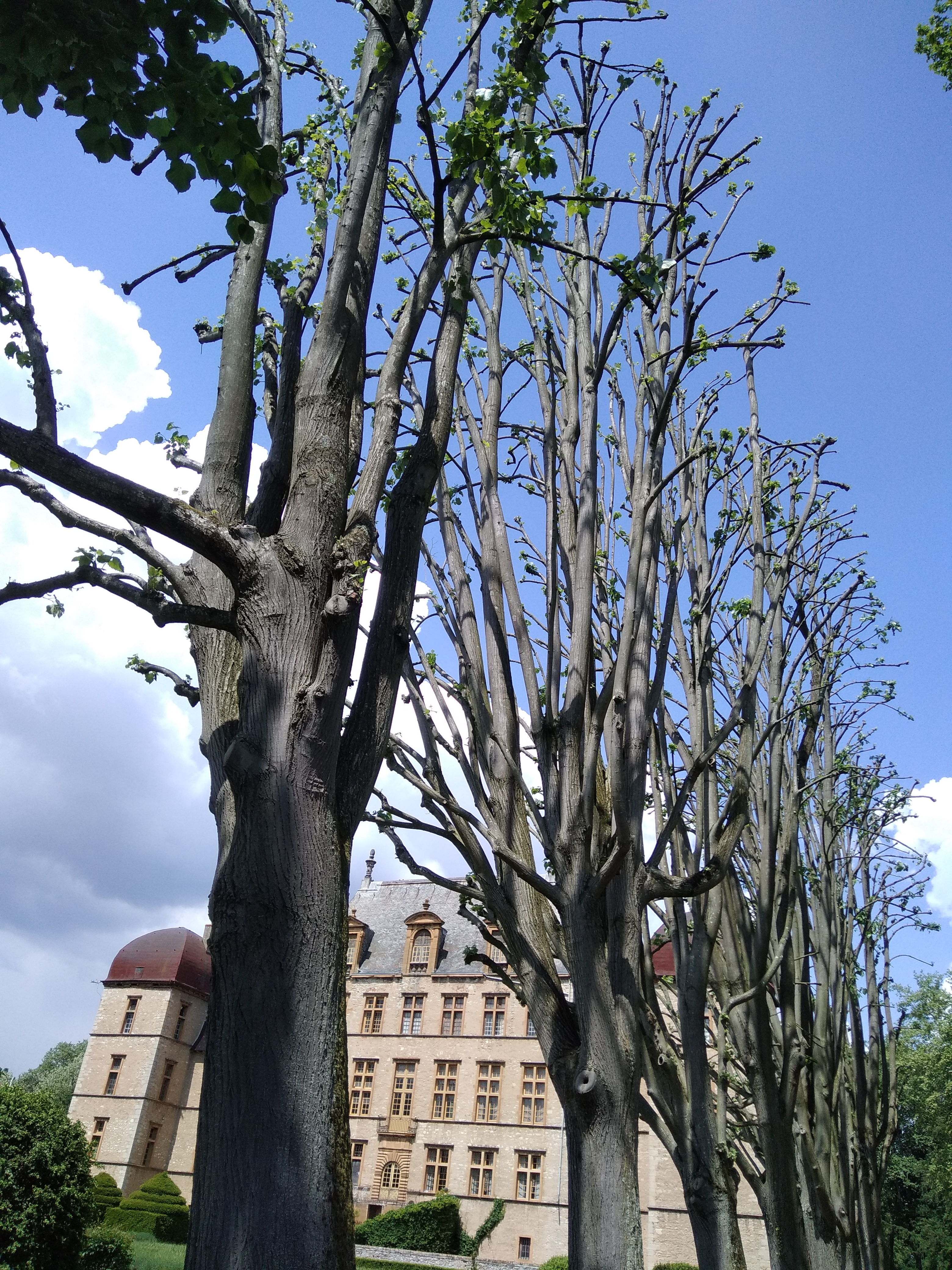 Photo n° 15 de l'avis de Rafaël. fait le 08/05/2018 à 11:48