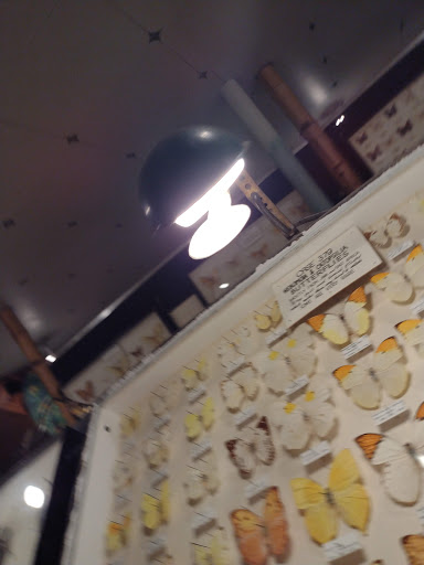 Museum «May Natural History Museum», reviews and photos, 710 Rock Creek Canyon Rd, Colorado Springs, CO 80926, USA