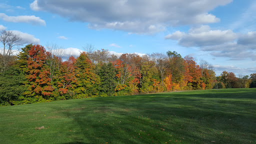 Public Golf Course «Ridge Top Golf Course», reviews and photos, 7441 Tower Rd, Medina, OH 44256, USA