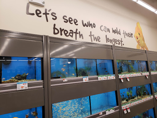 Pet Supply Store «Pet Supplies Plus», reviews and photos, 375 Paterson Ave #105, Wallington, NJ 07057, USA