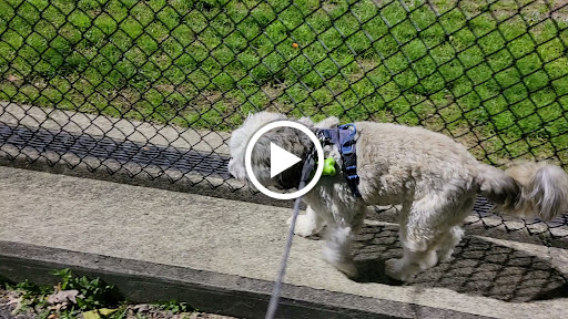 Park «DeHart Park», reviews and photos, 120 Burnett Ave, Maplewood, NJ 07040, USA