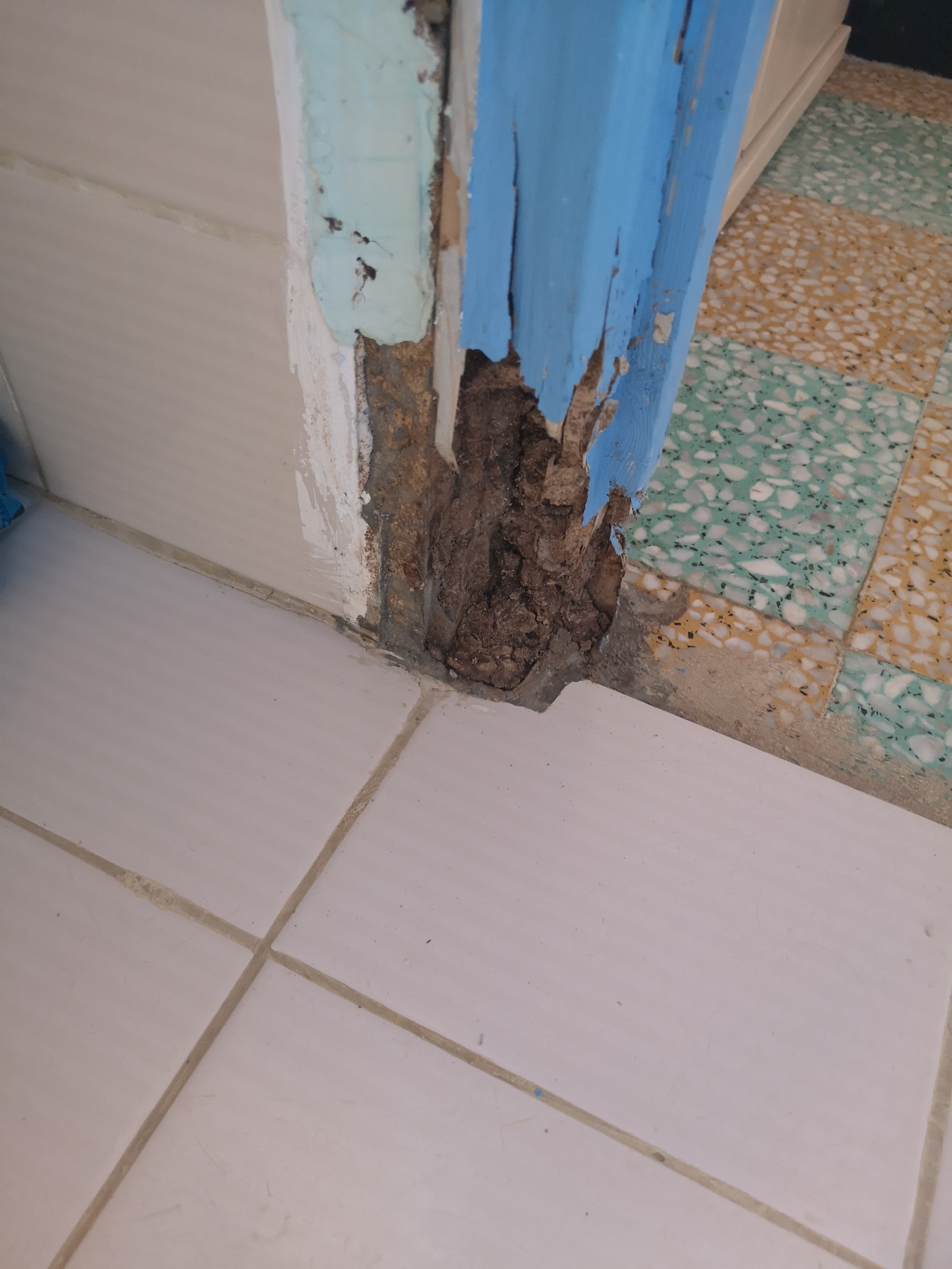 Photo n° 1 de l'avis de Nici.i fait le 14/09/2019 à 16:20