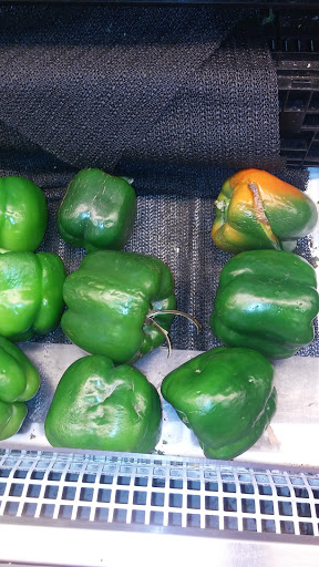 Grocery Store «Save-A-Lot», reviews and photos, 7240 S Stony Island Ave, Chicago, IL 60649, USA