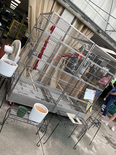 Florist «Nunan Florist & Greenhouses», reviews and photos, 269 Central St, Georgetown, MA 01833, USA