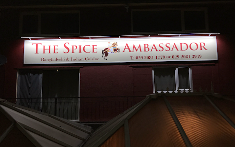The Spice Ambassador image