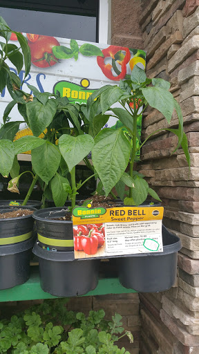 Supermarket «Walmart Neighborhood Market», reviews and photos, 9714 Sliding Hill Rd, Ashland, VA 23005, USA