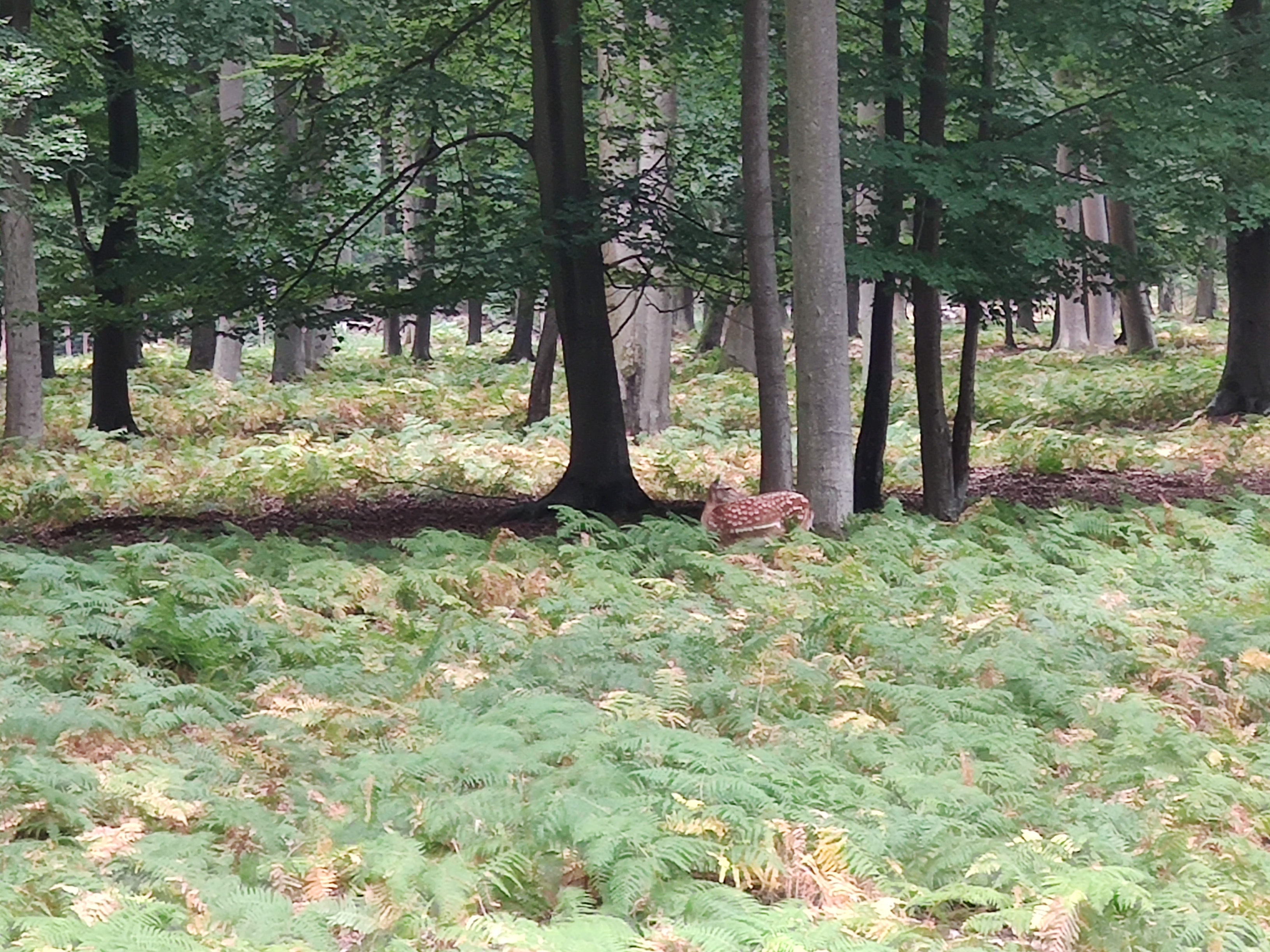 Photo n° 11 de l'avis de LAMBERT.r fait le 16/08/2022 à 19:17