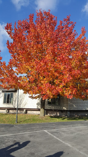 National Reserve «Montezuma National Wildlife Refuge», reviews and photos, 3395 US-20, Seneca Falls, NY 13148, USA