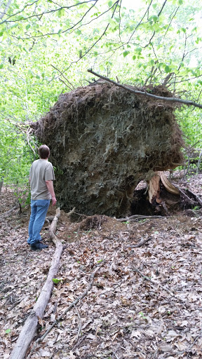 Nature Preserve «Laura Hare Nature Preserve at Downey Hill», reviews and photos, Valley Branch Rd, Nashville, IN 47448, USA