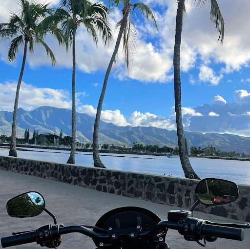 Personal Injury Attorney «Law Tigers», reviews and photos