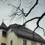 Photo n°1 de l'avis de Ivonne.i fait le 20/02/2023 à 21:56 sur le  Restaurant Turmwirt à Klausen