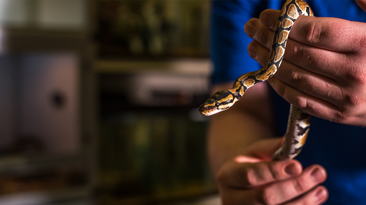 Pet Store «Pet Station Reno», reviews and photos, 5065 S McCarran Blvd, Reno, NV 89502, USA