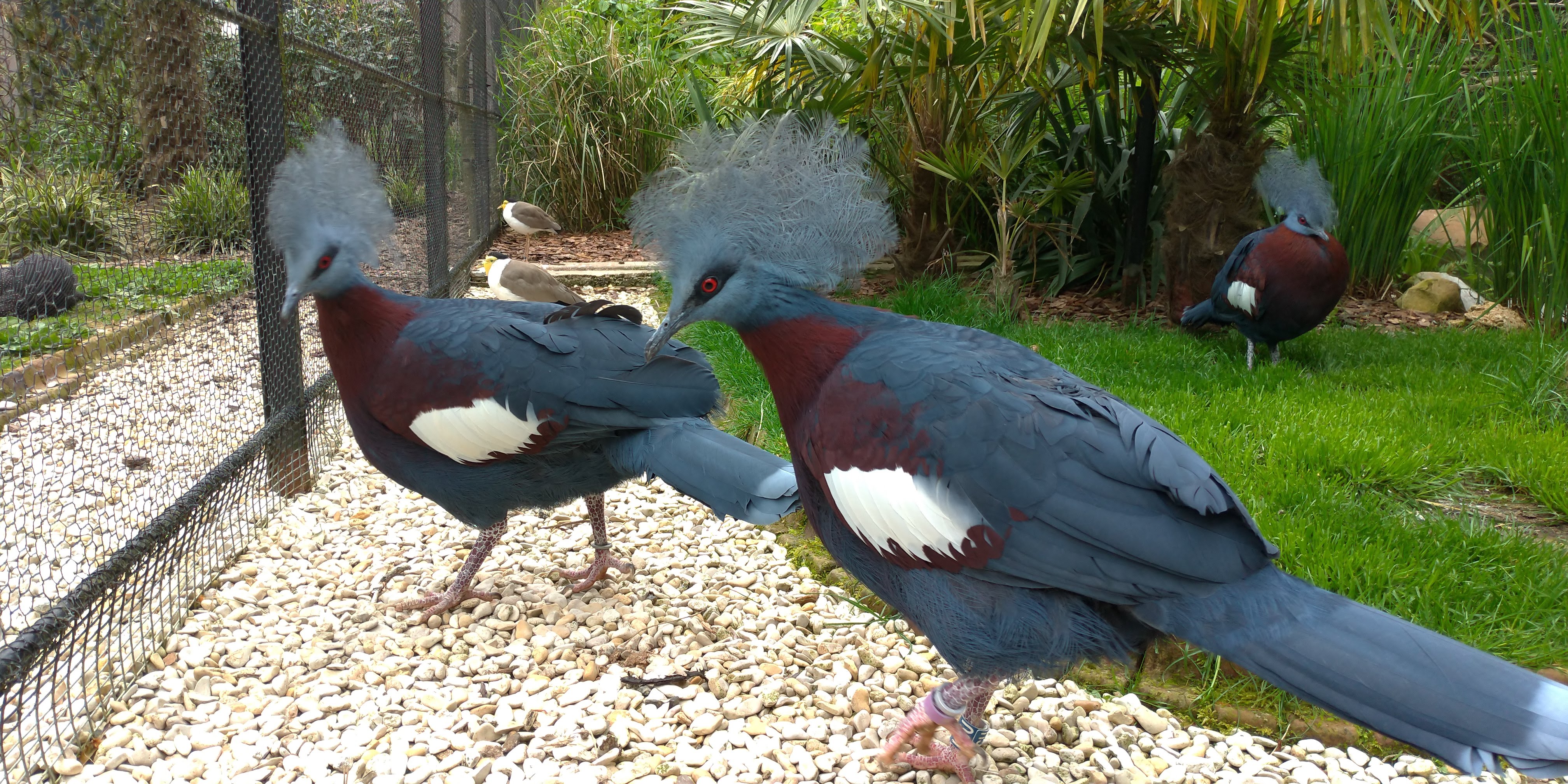 Photo n° 16 de l'avis de Maxime.E fait le 19/05/2019 à 20:15