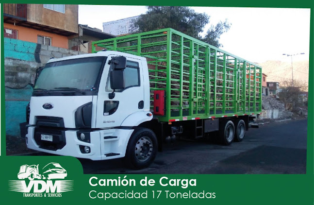 Opiniones de Transportes Vdm en Antofagasta - Servicio de transporte