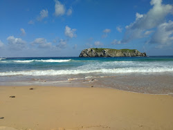 Zdjęcie Praia Do Leao dziki obszar