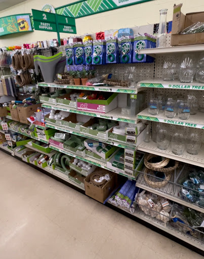 Dollar Store «Dollar Tree», reviews and photos, 903 US-380, Bridgeport, TX 76426, USA